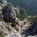 ���� �����, �����������, 44 ���� - ��������� 25 ������� 2014 � ������ ���� ����������