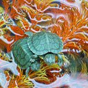  , , 51  -  13  2014    .