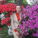 ���� ������, ����-�������, 66 ��� - ��������� 19 �������� 2014 � ������ ���� ����������