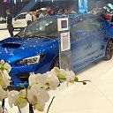 ���� �������, �����, 48 ��� - ��������� 19 ������� 2014 � ������ ����������� ����������