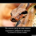 ���� ���, ������ - ��������� 24 ������� 2014 � ������ ��������