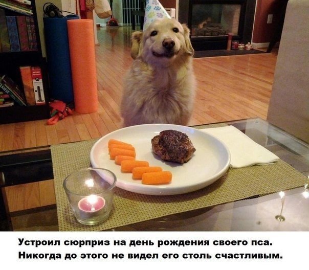   - 11  2014  19:15