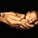 ���� Lena, ������ - ��������� 14 ������ 2014 � ������ ������ ��������