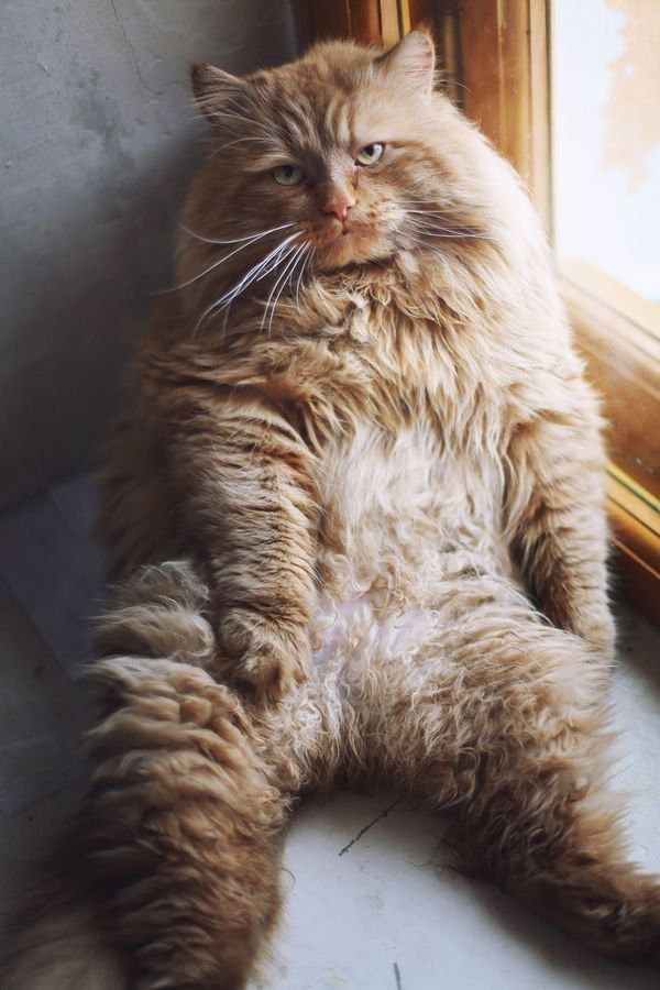   :3
