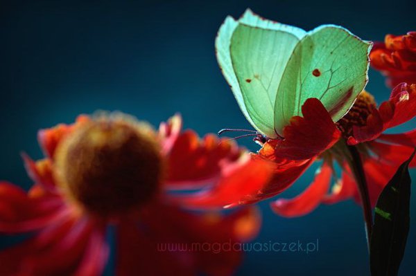 Свобода — классная штука, но иногда хочется поменять ее на счастье. - 5