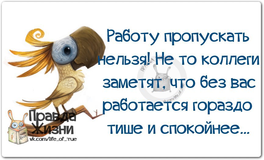   - 11  2014  15:23