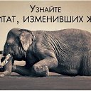 ���� �������, �����-���������, 63 ���� - ��������� 29 ������ 2014 � ������ ������ ��������
