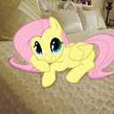 ���� ��������� ����, �����-���������, 21 ��� - ��������� 8 ������� 2014 � ������ ������ ��������