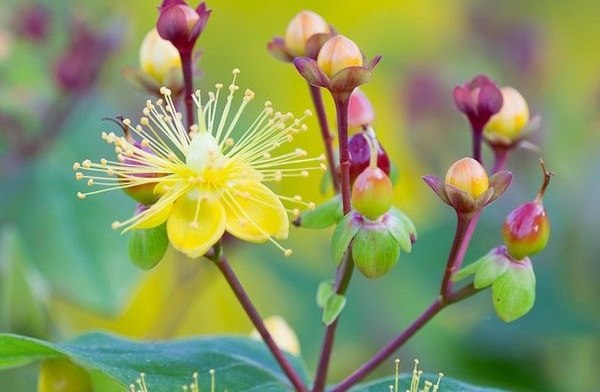    ,       ,  ,       ... - 5