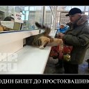 ���� �����, �����, 61 ��� - ��������� 2 �������� 2014 � ������ ������ ��������