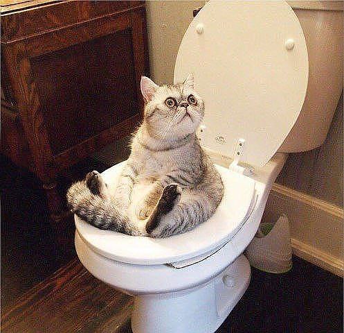 �� ���������? �� ������, ������!