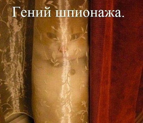 Подписывайтесь на нашу страницу fotostrana.ru/public/232473 Только позитив )