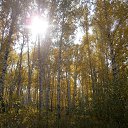 ���� ��������, ���������, 39 ��� - ��������� 9 ������ 2014 � ������ ������ ��������