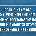 ���� ������, ������, 54 ���� - ��������� 4 ������� 2014 � ������ ������ ��������