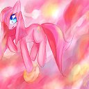 ���� �����, �������������, 22 ���� - ��������� 9 ������� 2014