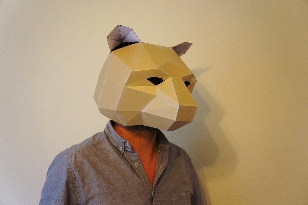 3д маска из бумаги. 3-D маски Steve Wintercroft. Paper Mask Wintercroft. Объемная маска. Маска из картона объемная.