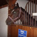 ���� ��������, �����������, 63 ���� - ��������� 10 ������� 2014 � ������ ���� ����������