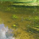 ���� ����, ������, 32 ���� - ��������� 23 ������� 2014 � ������ ������ ��������