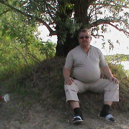 ���������, ���������, 71 ���