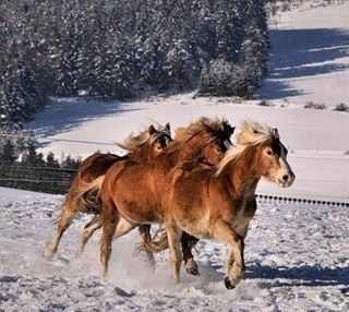 Красота - 4