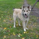 ���� Hell Girl, ���������, 31 ��� - ��������� 31 ������� 2014 � ������ ��������� ���