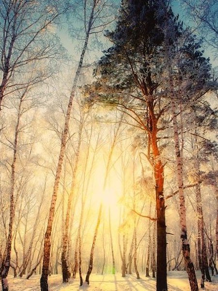 Всё нужно пережить на этом свете, Всё нужно испытать и оценить… Несчастье, боль, измену, горе, ...