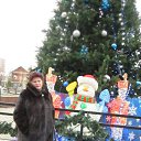 ���� �������, ���������, 66 ��� - ��������� 24 ������� 2014 � ������ ���� ����������