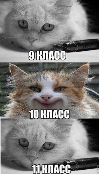    :D - 1  2014  17:45