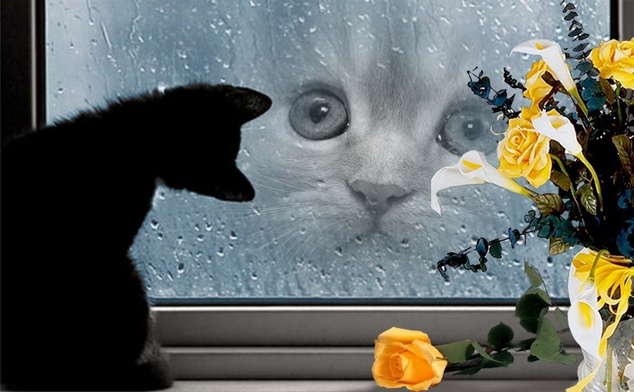 ������ ������.� ������ ����� ����� ��������� �������� ���� �������,������� �������� ����� ... - 2