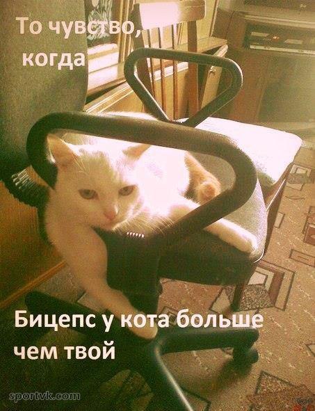  -   - 6  2014  16:19
