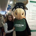 ���� �������, ������ - ��������� 22 ������ 2014