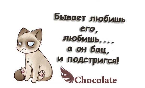 hocolate - 27  2014  21:09