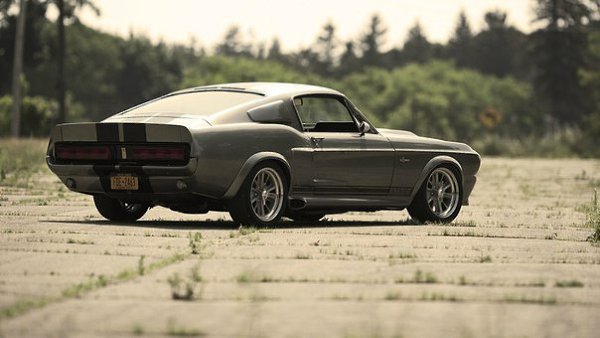 Ford Mustang GT500 Shelby Eleanor    60-. ,      ... - 4