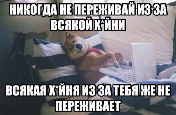 - 29  2014  13:35