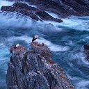 ���� Musa, ����, 56 ��� - ��������� 1 ������ 2014 � ������ ���� ����������