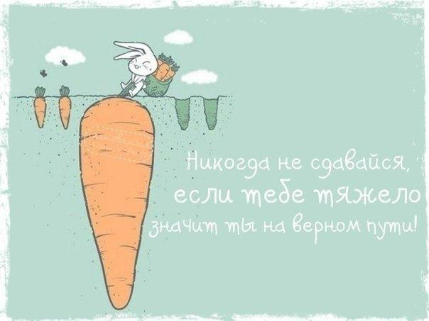 BEST | , ,  - 8  2014  07:00