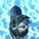 ���� ������, ����������� - ��������� 6 ������� 2014 � ������ ������ ��������