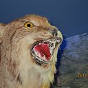 ���� ������, ��������, 64 ���� - ��������� 22 ������ 2014 � ������ ���� ����������