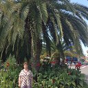 ���� ���������, ������, 66 ��� - ��������� 25 �������� 2014 � ������ ���� ����������