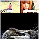 ���� ����, ������, 24 ���� - ��������� 8 �������� 2014 � ������ ������ ��������