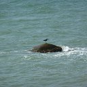  ,  -  4  2014    2014