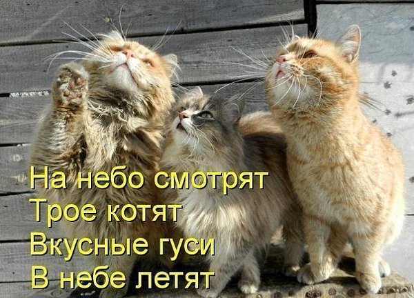  - 7  2014  13:47