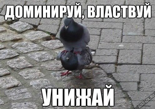  - 17  2014  13:25