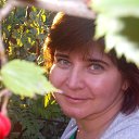 ���� ������, ������, 58 ��� - ��������� 11 ������� 2014 � ������ ���� ����������