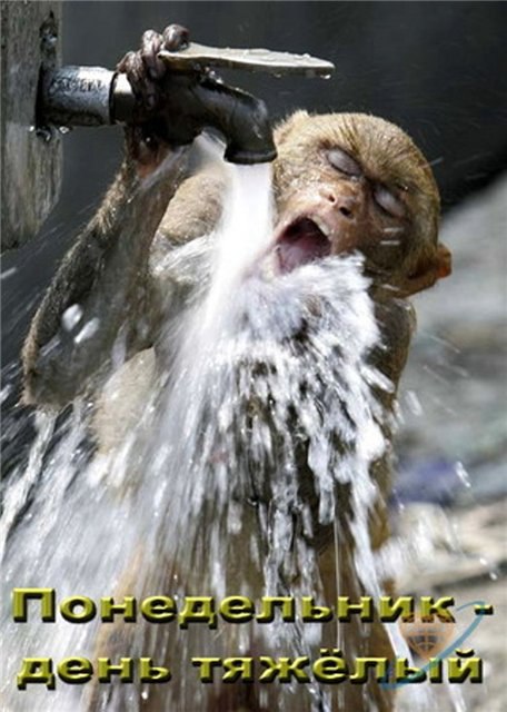  - 1  2014  09:21 - 2