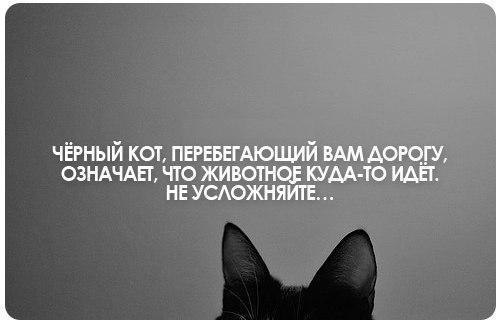 ...����� ���� �� ������