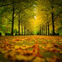 ������� �����!!!