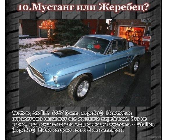    Muscle Car - 9