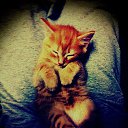 ���� Disa King, �������� - ��������� 24 ������ 2014 � ������ ������ ��������