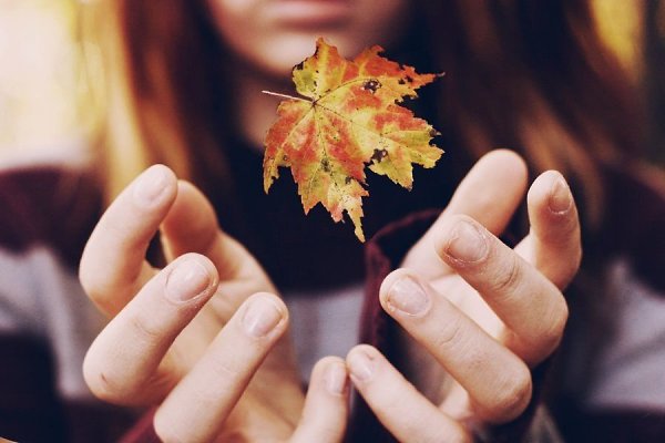 Октябрь, — со страстью в голосе произнес он. — Боже, это мой любимый месяц, готов его поедать, ...